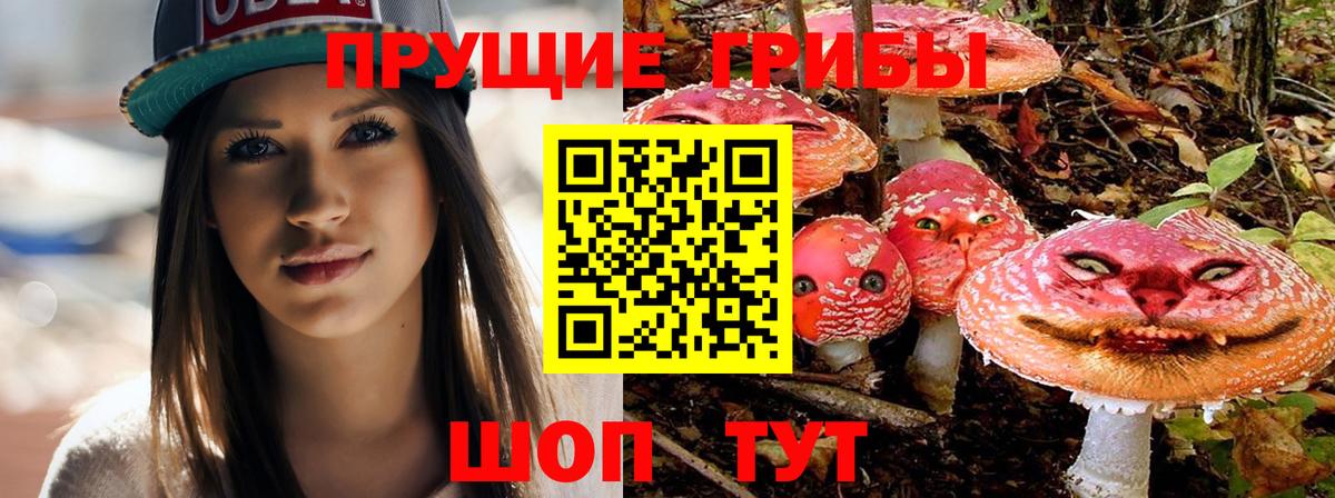 Галлюциногенные грибы прущие грибы Чита