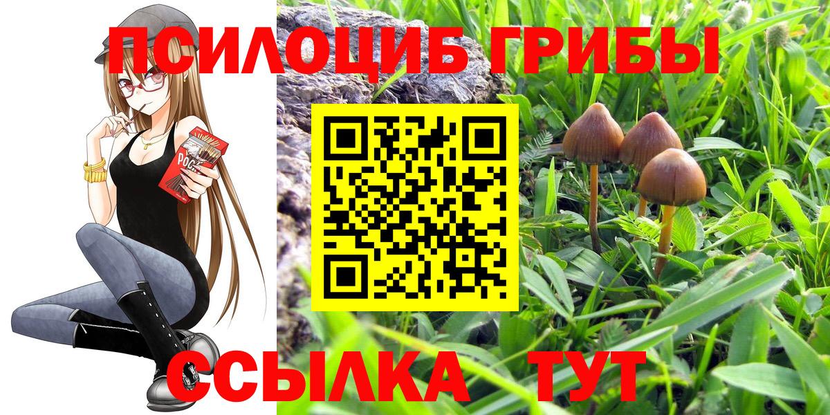 Чита  Галлюциногенные грибы прущие грибы  Псилоцибиновые грибы прущие грибы  Вход с VPN 